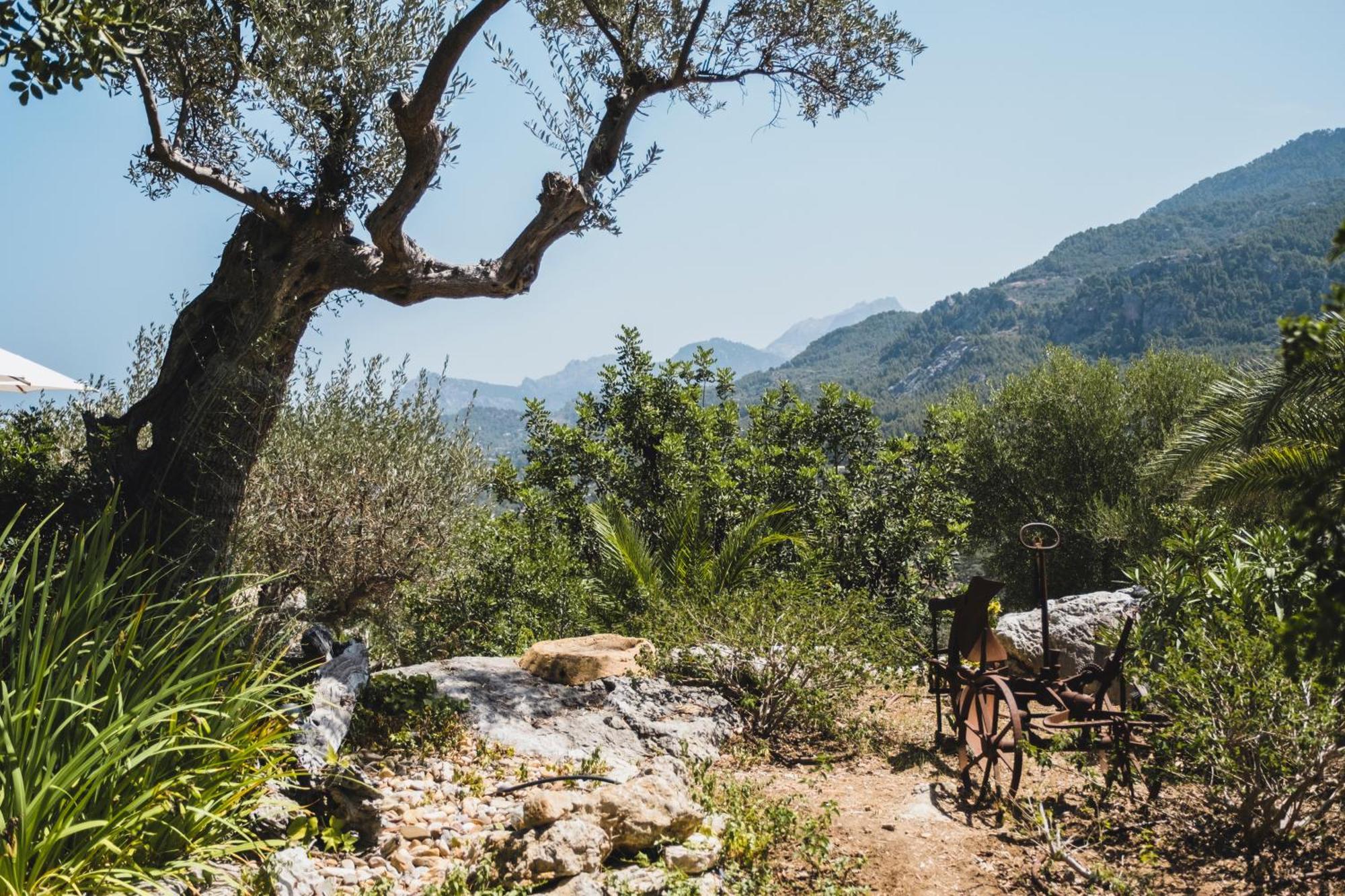Villa Sa Pedrissa à Deià Extérieur photo